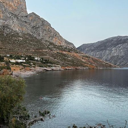 The Traditional House-Skalia,Kalymnos Zewnętrze zdjęcie