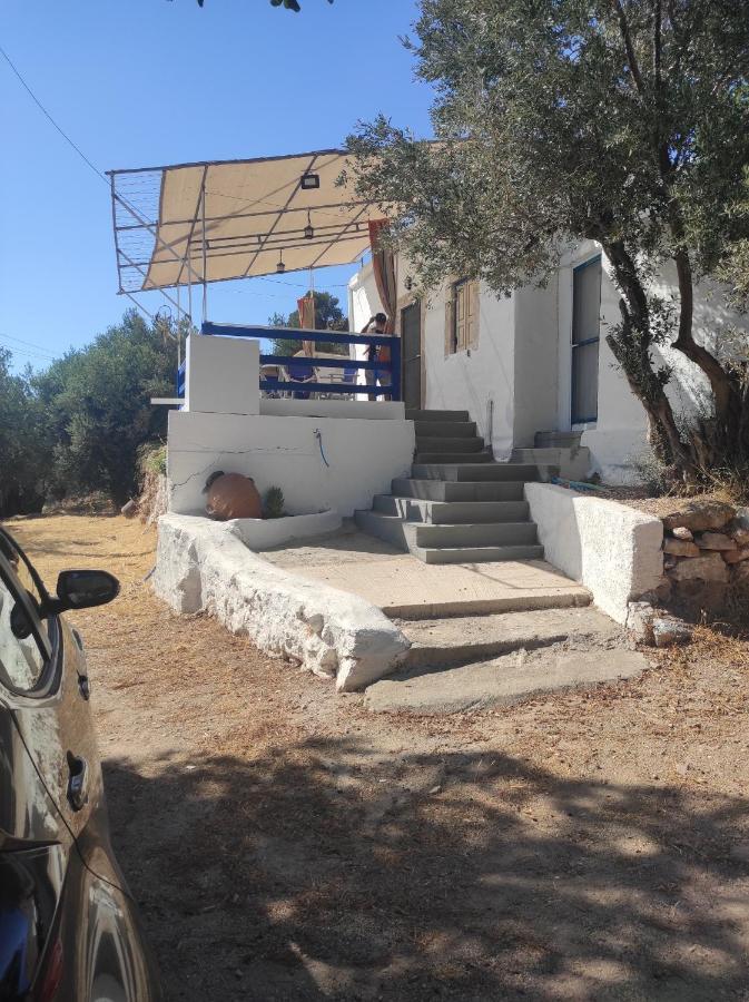 The Traditional House-Skalia,Kalymnos Zewnętrze zdjęcie
