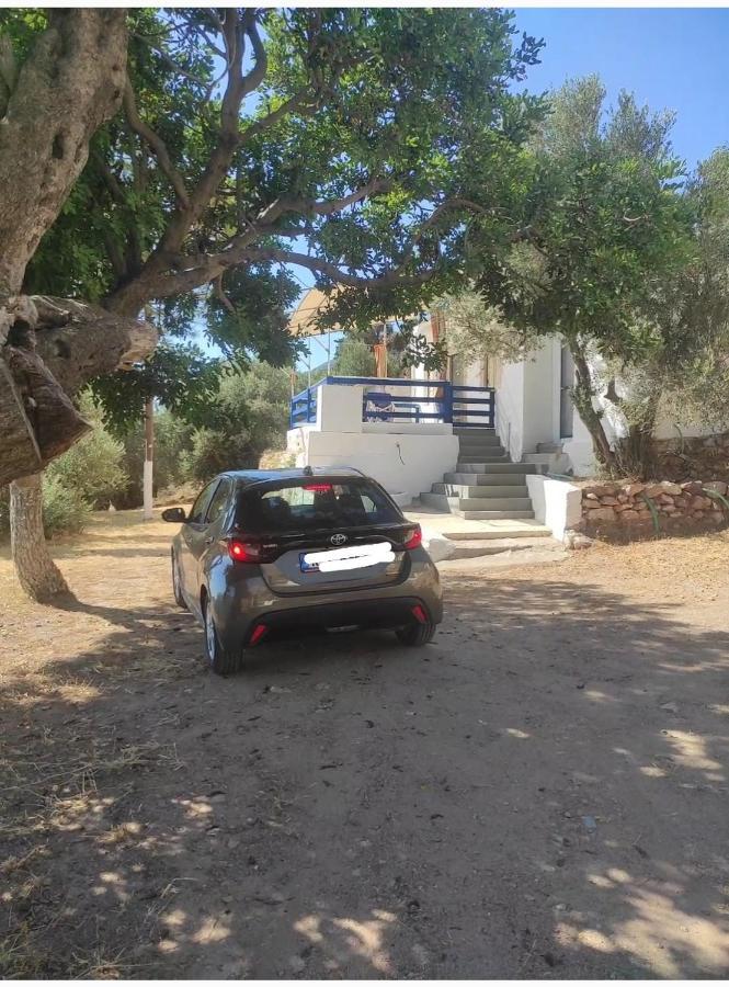 The Traditional House-Skalia,Kalymnos Zewnętrze zdjęcie